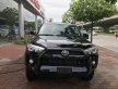 Toyota 4 Runner 4.0 2016 - Bán ô tô Toyota 4 Runner đời 2016, màu đen, xe nhập mỹ, mới 100%, giao ngay giá 2 tỷ 830 tr tại Hà Nội