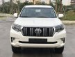Toyota Land Cruiser Prado VX 2019 - Bán Toyota Land Cruiser Prado mới 100%, NK Nhật Bản, giá tốt, LH 0942.456.838 giá 2 tỷ 320 tr tại Hòa Bình