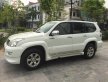 Toyota Prado 2005 - Cần bán gấp Toyota Prado 4.0 bản đặc biệt xuất Trung Đông 2005, nhập khẩu nguyên chiếc giá 720 triệu tại Hà Nội