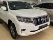 Toyota Prado VX 2019 - Bán Toyota Prado VX năm 2019, màu trắng, xe nhập như mới giá 2 tỷ 380 tr tại Hà Nội