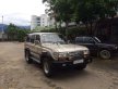 Toyota Land Cruiser 1994 - Cần bán lại xe Toyota Land Cruiser sản xuất 1994, nhập khẩu nguyên chiếc, 111tr giá 111 triệu tại Lai Châu
