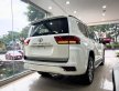 Toyota Land Cruiser 2022 - Toyota Land Cruiser 2022 giá 8 tỷ tại Hà Nội