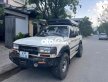 Toyota Land Cruiser Bán land 80 máy dầu 1hz 1991 - Bán land 80 máy dầu 1hz giá 245 triệu tại Đà Nẵng