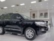 Toyota Land Cruiser 2019 - Tên công ty giá 3 tỷ 880 tr tại Hà Nội