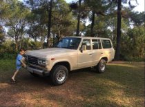 Toyota Land Cruiser 1980 - Bán Toyota Land Cruiser năm sản xuất 1980, màu trắng, giá 190tr giá 190 triệu tại TT - Huế