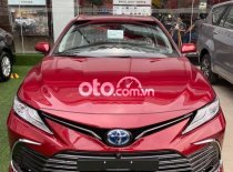 Bán ô tô Toyota Camry sản xuất năm 2021, màu đỏ, nhập khẩu nguyên chiếc giá 1 tỷ 50 tr tại Tp.HCM