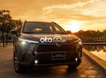 Toyota Corolla Cross   2021 - Cần bán xe Toyota Corolla Cross năm 2021, nhập khẩu giá cạnh tranh giá 720 triệu tại Quảng Trị