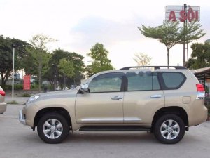 Toyota Prado TLX 2010 - Cần bán gấp Toyota Prado TLX đời 2010, ĐKLĐ 2011