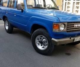 Toyota Land Cruiser 1987 - Cần bán lại xe Toyota Land Cruiser đời 1987, màu xanh lục