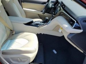 Toyota Camry XLE 2017 - Bán ô tô Toyota Camry XLE đời 2017, màu đỏ, nhập khẩu