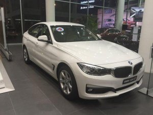 320I GT 2.0 AT 2017 - Bán ô tô BMW 3 Series 320I GT 2.0 AT sản xuất 2017, màu trắng, nhập khẩu nguyên chiếc