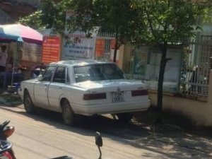 Toyota Cressida 1984 - Bán Toyota Cressida năm 1984, màu trắng  