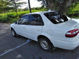 Toyota Corolla   2001 - Bán xe Toyota Corolla đời 2001, màu trắng