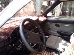 Toyota Camry 1981 - Cần bán lại xe Toyota Camry năm 1981, màu trắng, nhập khẩu, 30tr