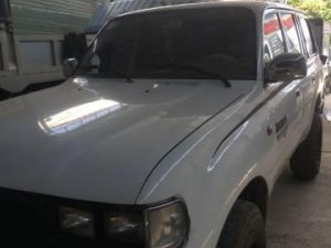 Toyota Land Cruiser 1996 - Bán xe Toyota Land Cruiser sản xuất 1996, màu trắng