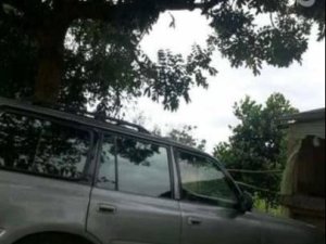 Toyota Land Cruiser 1995 - Bán Toyota Land Cruiser đời 1995, màu xám  