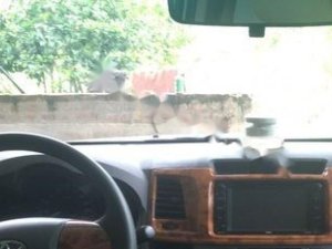 Toyota Hilux 2.5E 4x2 MT 2012 - Bán Toyota Hilux 2.5E 4x2 MT sản xuất năm 2012, màu bạc, nhập khẩu nguyên chiếc số sàn, giá chỉ 388 triệu