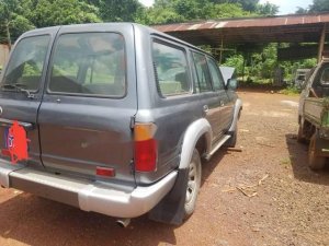 Toyota Land Cruiser 1993 - Bán Toyota Land Cruiser 1993, màu xám, xe nhập, giá chỉ 87 triệu