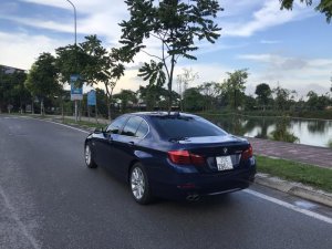 Cũ  5 520i 206 2016 - Xe Cũ BMW 5 520i 2016