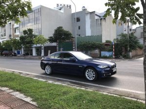 Cũ  5 520i 206 2016 - Xe Cũ BMW 5 520i 2016