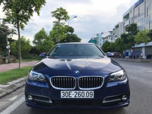 Cũ  5 520i 206 2016 - Xe Cũ BMW 5 520i 2016