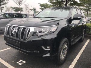 Toyota Prado VX 2018 - Cần bán Toyota Prado VX đời 2018, màu đen, nhập khẩu