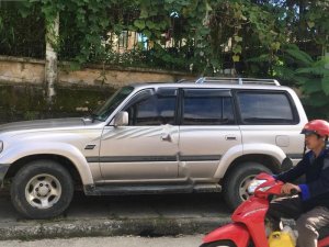 Toyota Land Cruiser LX 1995 - Bán ô tô Toyota Land Cruiser LX đời 1995, xe nhập chính chủ 