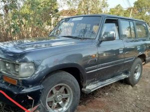 Toyota Land Cruiser 1987 - Bán ô tô Toyota Land Cruiser năm 1987