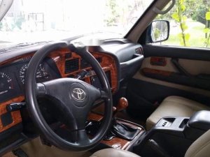 Toyota Land Cruiser 4.5 1994 - Bán Toyota Land Cruiser 4.5 đời 1994, nhập khẩu, màu xanh dưa
