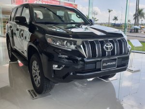 Toyota Land Cruiser Prado 2019 - Bán Toyota Land Cruiser Prado đời 2019, màu đen, nhập khẩu nguyên chiếc