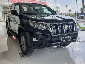 Toyota Land Cruiser Prado 2019 - Bán Toyota Land Cruiser Prado đời 2019, màu đen, nhập khẩu nguyên chiếc