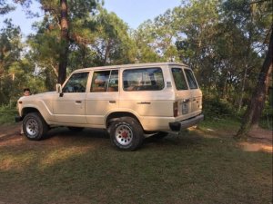 Toyota Land Cruiser 1980 - Bán Toyota Land Cruiser năm sản xuất 1980, màu trắng, giá 190tr