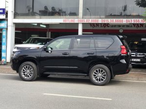 Toyota Prado VX 2019 - Bán Toyota Prado VX năm 2019, màu đen, nhập khẩu