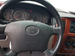 Toyota Land Cruiser 2004 - Bán xe Toyota Land Cruiser năm 2004, màu xanh lam