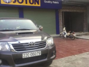 Toyota Hilux 3.0G 4x4 MT 2011 - Bán ô tô Toyota Hilux 3.0G 4x4 MT 2011, màu đen, nhập khẩu