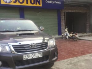 Toyota Hilux 3.0G 4x4 MT 2011 - Bán ô tô Toyota Hilux 3.0G 4x4 MT 2011, màu đen, nhập khẩu