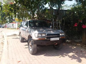 Toyota Land Cruiser 4.5 MT 1992 - Cần bán Toyota Land Cruiser 4.5 MT năm 1992, màu hồng, xe nhập, giá chỉ 125 triệu
