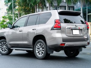Toyota Prado 2020 - Cần bán gấp Toyota Prado đời 2020, màu bạc, nhập khẩu nguyên chiếc