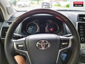 Toyota Land Cruiser Prado 2022 - Bán ô tô Toyota Land Cruiser Pradodo VX năm 2022, nhập khẩu nguyên chiếc