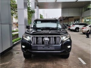 Toyota Land Cruiser Prado 2022 - Bán ô tô Toyota Land Cruiser Pradodo VX năm 2022, nhập khẩu nguyên chiếc