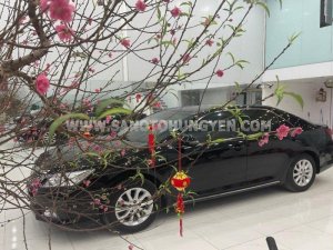 Toyota Camry 2014 - 1 chủ từ mới