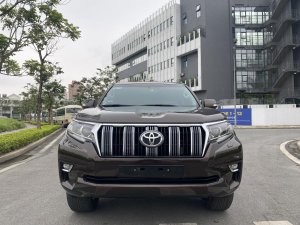Toyota Land Cruiser Prado 2019 - Đẹp không có chiếc thứ 2 trên thị trường