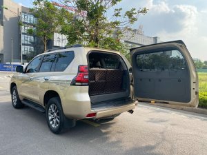 Toyota Land Cruiser Prado 2013 - Toyota Land Cruiser Prado 2013 tại Hà Nội