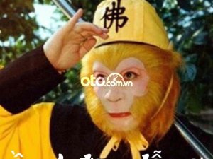 Toyota Fortuner gia đinh cần bán 1 xe fordtunex 2013 tự động cực 2013 - gia đinh cần bán 1 xe fordtunex 2013 tự động cực