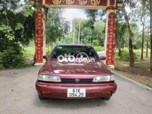 Toyota Camry   1988 số sàn đăng kiểm mới ngay chủ 1988 - Toyota Camry 1988 số sàn đăng kiểm mới ngay chủ