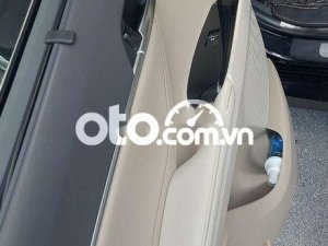 Toyota Camry  2.5 Q. Nhập thái 2020 - Camry 2.5 Q. Nhập thái