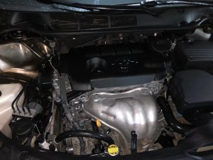 Toyota Venza 2010 2010