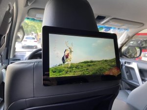 Toyota Land Cruiser Prado 2019 - Chạy 5,3 vạn km