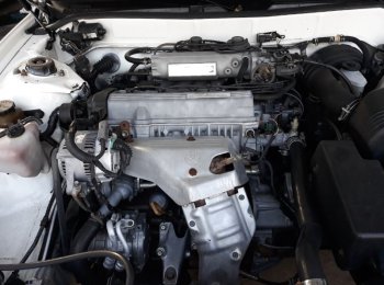 Toyota Camry LE 1995 - Cần bán lại xe Toyota Camry LE đời 1995, màu trắng, nhập khẩu chính hãng