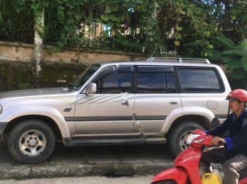 Toyota Land Cruiser LX 1995 - Bán ô tô Toyota Land Cruiser LX đời 1995, xe nhập chính chủ 